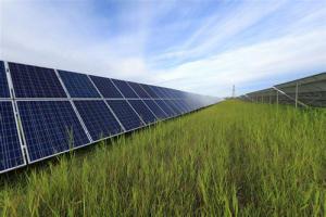 青海電網光伏儲能發電關鍵技術通過評審