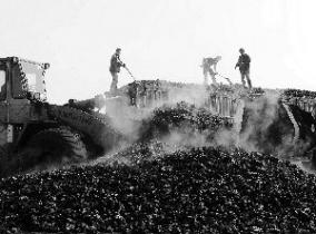 統計局：1月下旬全國焦炭價格報1944.8元/噸較上一周期下降7%