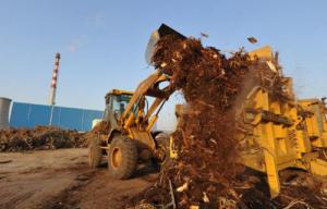 我國生物質(zhì)發(fā)電穩(wěn)步增長累計裝機達1488萬千瓦