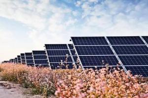 隆基股份新年再次降價(jià) 光伏行業(yè)整合即將開(kāi)始