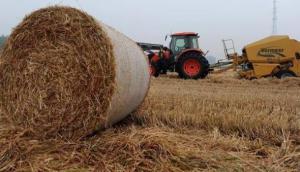 四川將從六個方面對秸稈綜合利用產業提供政策支持