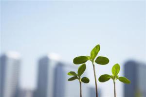 張立寬：有序推進火電機組靈活性改造