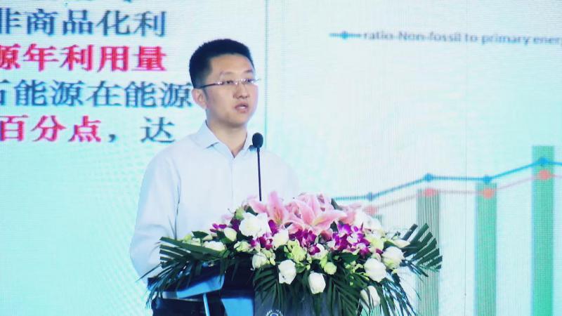 陶冶：中國可再生能源發(fā)展及市場趨勢