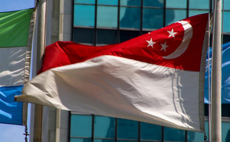 新加坡：勝科太陽能榮獲50兆瓦屋頂光伏招標