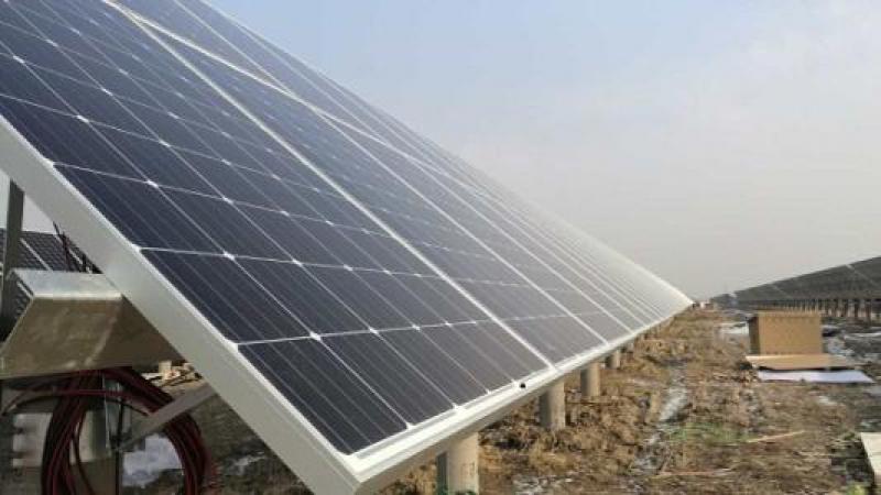 2018年1-5月隆基樂(lè)葉印度出口登頂