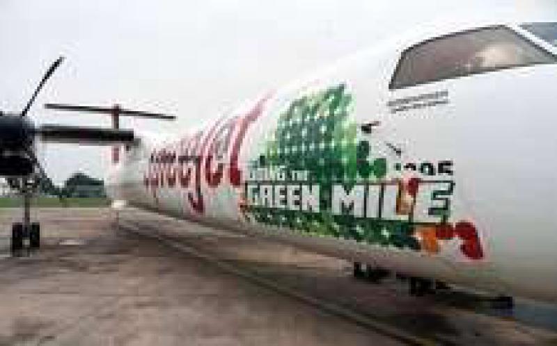 印度成功完成首次使用生物燃料試飛