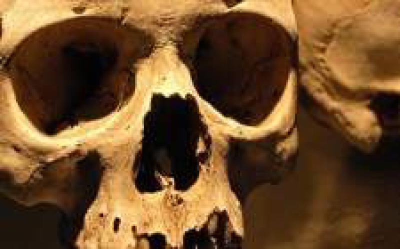 兩家儲(chǔ)能公司即將倒閉：Axion Power和Camborne Energy Storage