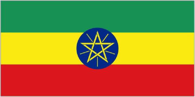 埃塞俄比亞電力管理局