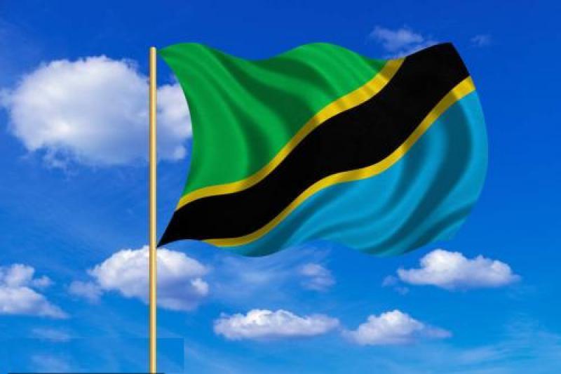 坦桑尼亞能源概況：化石燃料及面臨的技術挑戰