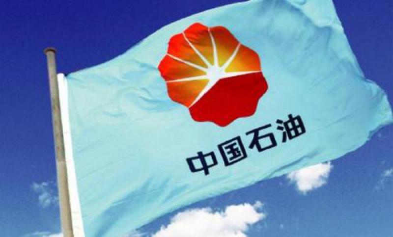 中國石油：帶動非洲資源國經濟社會發展