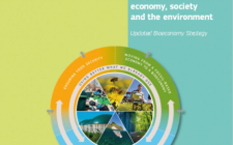 歐洲生物經(jīng)濟(jì)與細(xì)微差別打開了生物能源的差距