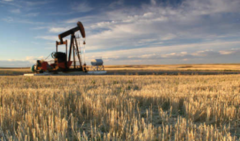 印度原油產量下降4.19％，推動9月份進口依賴度達到83.7％