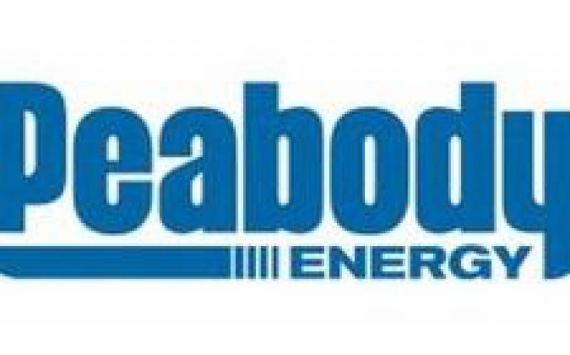 聯邦委員會贊成煤炭而非石油開發